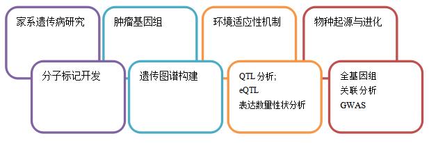 基因数据分析服务