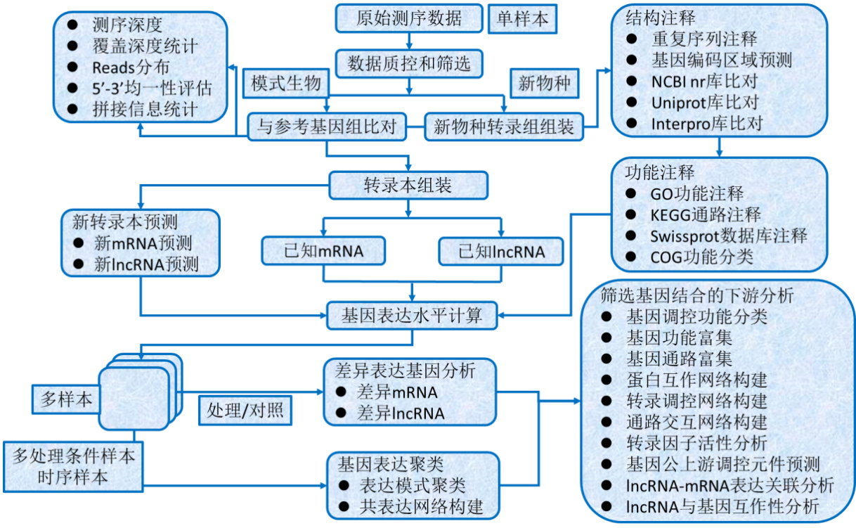 转录组基因测序